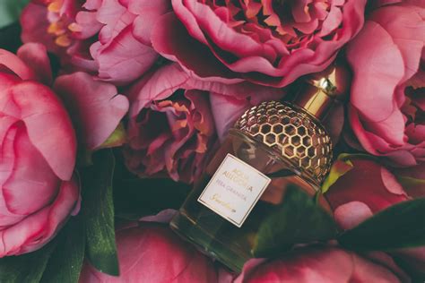 burberry tea rose dupe|11 Burberry Her Dupes That Give You The Same Scent.